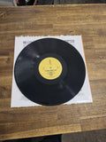 The Babe Rainbow - The Babe Rainbow (USED, NM) (LP)
