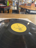 The Babe Rainbow - The Babe Rainbow (USED, NM) (LP)