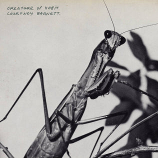 Courtney Barnett - Creature Of Habit (LP, Gatefold)