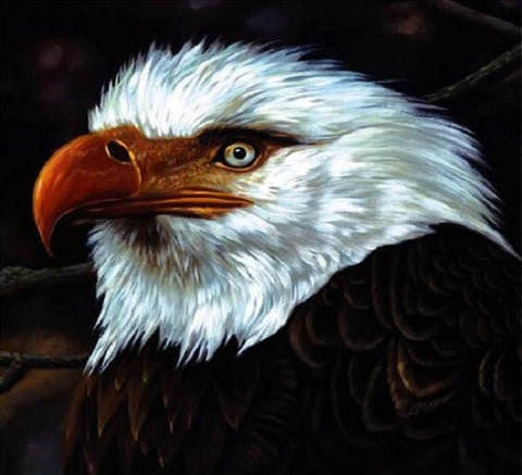 Mogwai - The Hawk Is Howling (2xLP, Gatefold, White Vinyl)