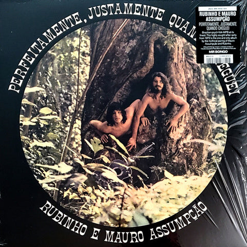Rubinho E Mauro Assumpção – Perfeitamente, Justamente Quando Cheguei (LP)