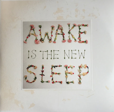 Ben Lee - Awake Is The New Sleep (2xLP, Gatefold)