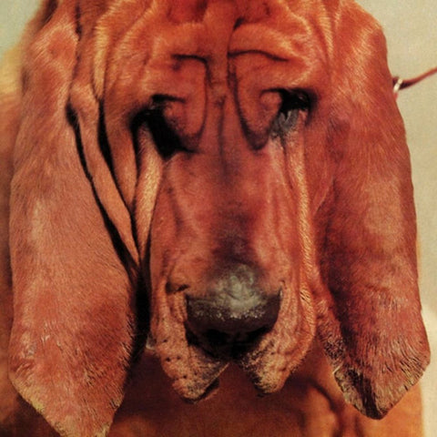 Ty Segall - Goodbye Bread (LP)