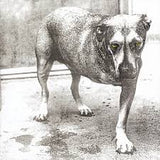 Alice In Chains - Alice in Chains (LP, Gatefold, 30th Anniversary, Highlighter Yellow)
