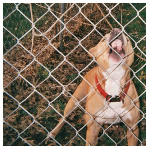 Knocked Loose - Pop Culture (LP, Black Ice with White Splatter)
