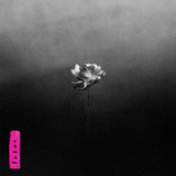 Little Simz - Lotus (2LP, Gatefold, 180g)