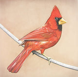 Alexisonfire - Old Crows / Young Cardinals (2LP, 45rpm, Gatefold)