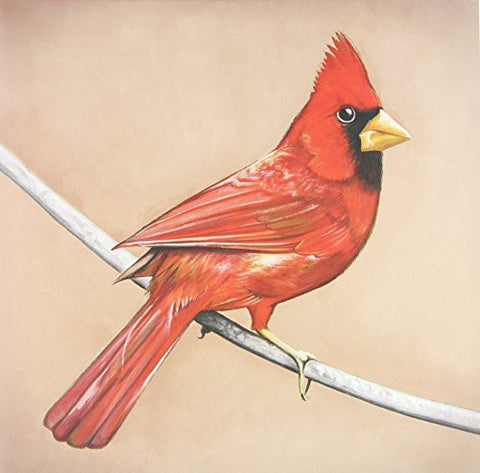 Alexisonfire - Old Crows / Young Cardinals (2LP, 45rpm, Gatefold)