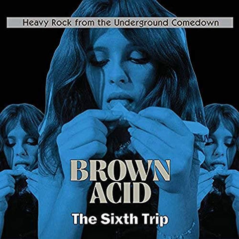 Brown Acid - The Sixth Trip (LP)