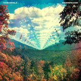 Tame Impala - Innerspeaker (First Pressing, 45RPM, Limited to 500) (Used, VG+)