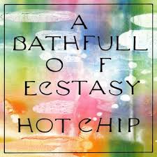 Hot Chip - A Bath Full Of Ecstasy (Gatefold 2xLP)