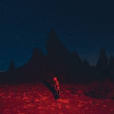 Phoebe Bridgers - Punisher (Gatefold LP)