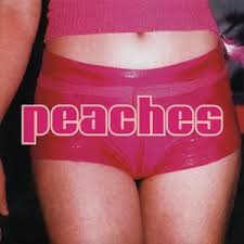 Peaches - The Teaches of Peaches (LP)