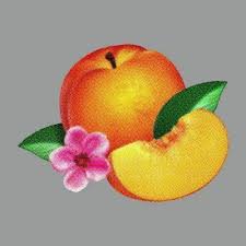 Phoenix - Bankrupt (LP)