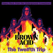 Brown Acid - The Twelfth Trip (LP)