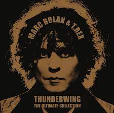 Marc Bolan & T Rex - Thunderwing: The Ultimate Collection (LP)